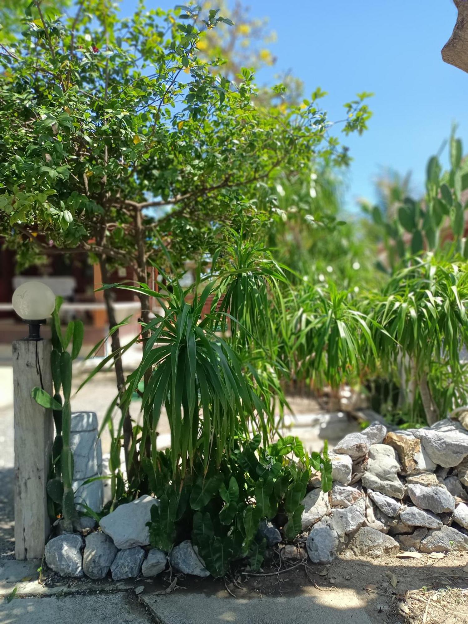 บาคัสโฮมลอร์ด Villa Haad Chao Samran Dış mekan fotoğraf