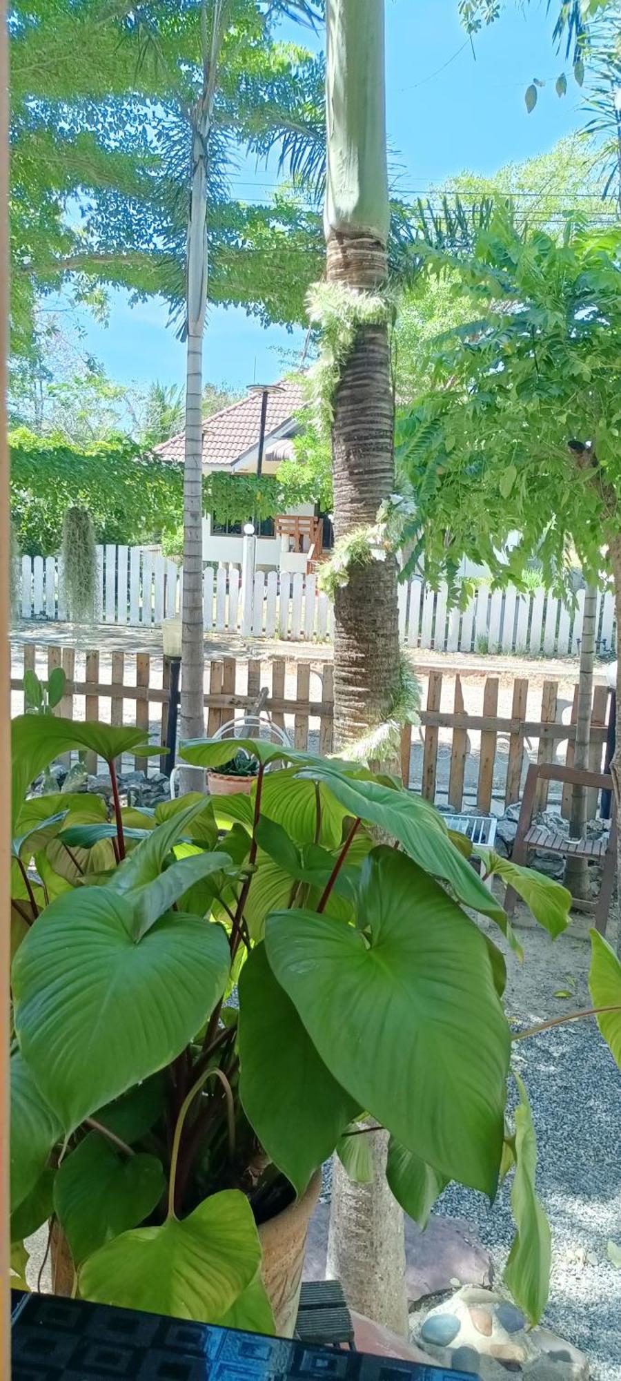 บาคัสโฮมลอร์ด Villa Haad Chao Samran Dış mekan fotoğraf